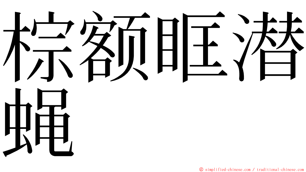 棕额眶潜蝇 ming font