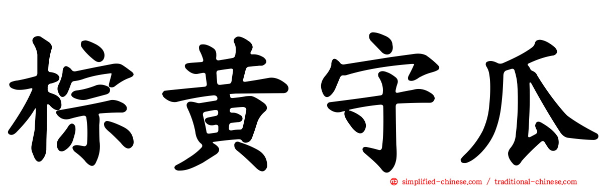 棕黄守瓜