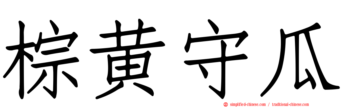 棕黄守瓜