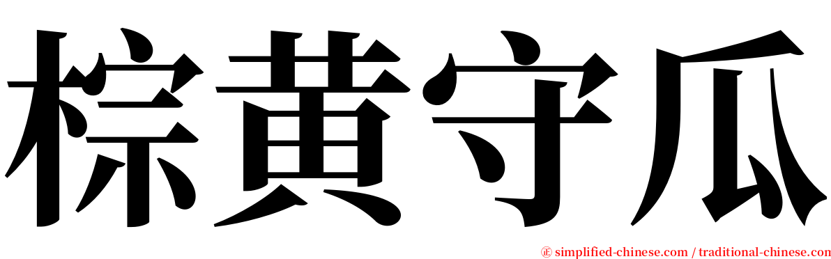 棕黄守瓜 serif font