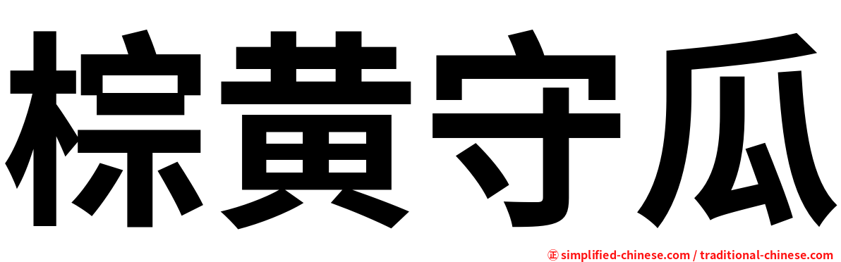 棕黄守瓜