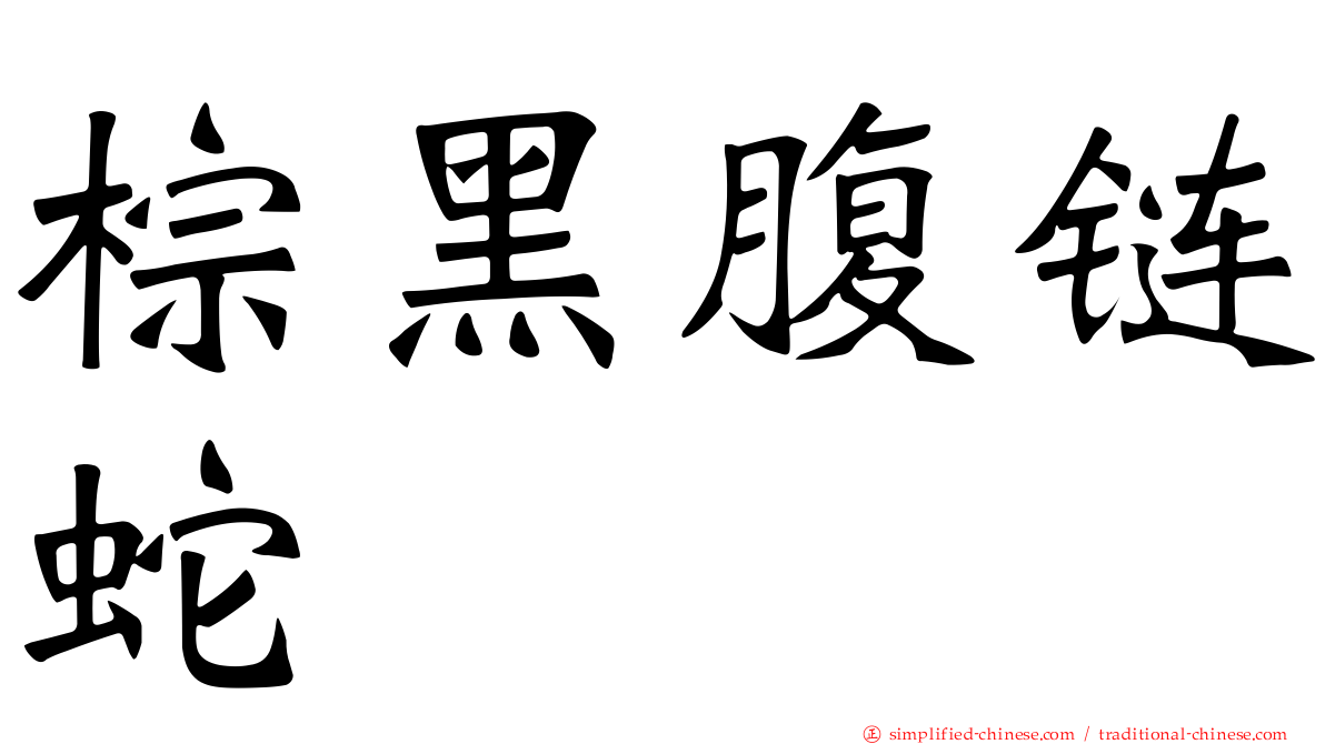 棕黑腹链蛇