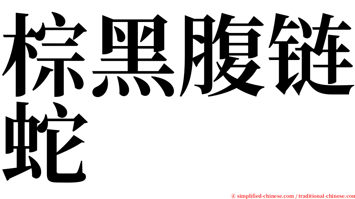 棕黑腹链蛇 serif font