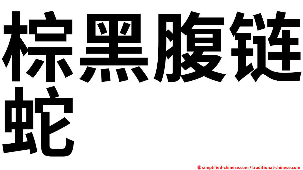 棕黑腹链蛇