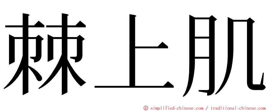 棘上肌 ming font