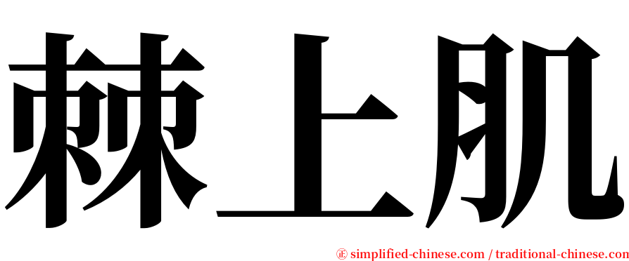 棘上肌 serif font