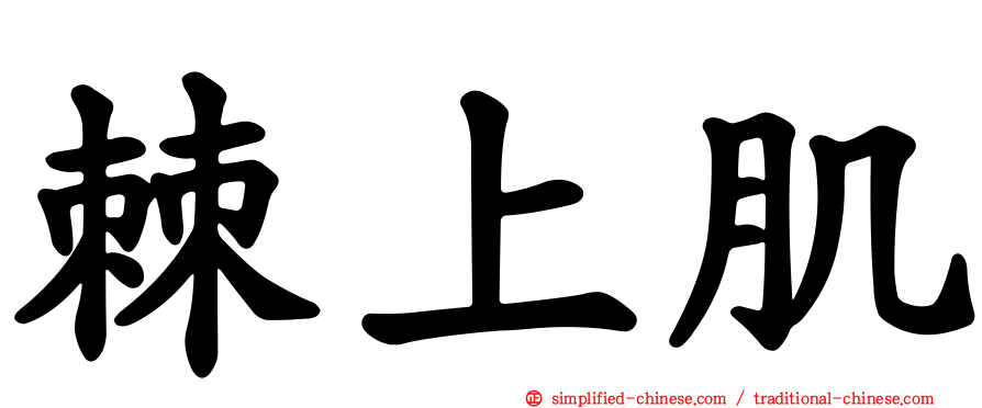 棘上肌