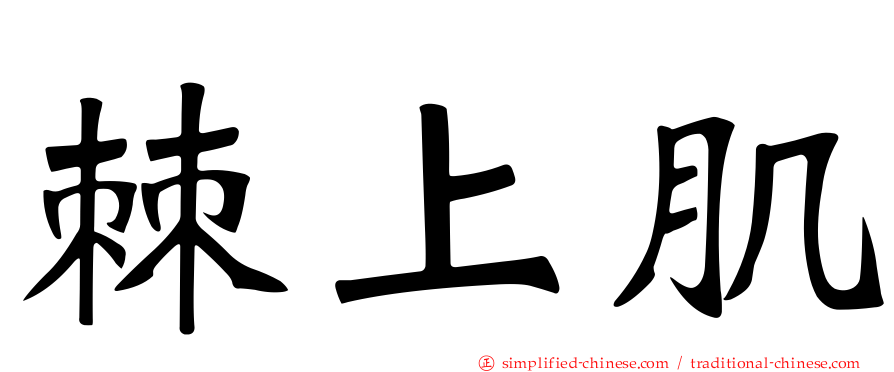 棘上肌