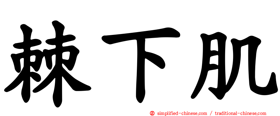 棘下肌