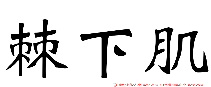 棘下肌