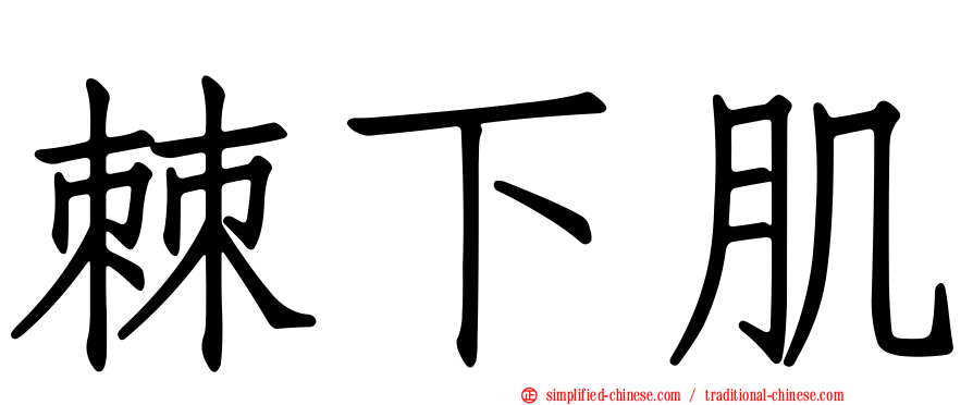 棘下肌