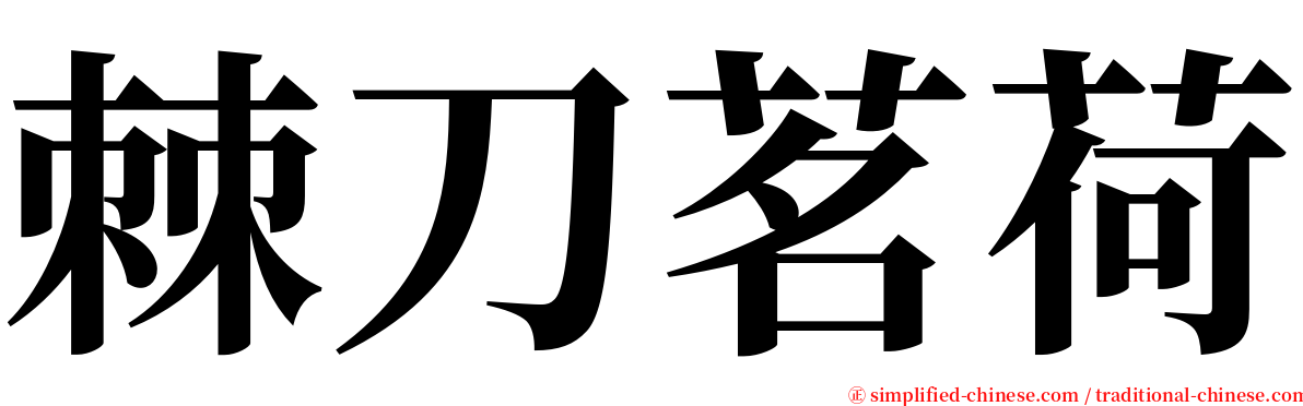 棘刀茗荷 serif font