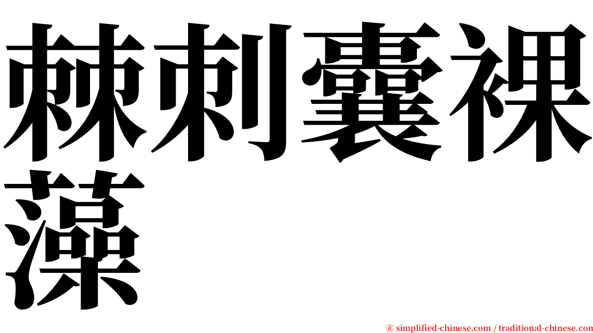 棘刺囊裸藻 serif font
