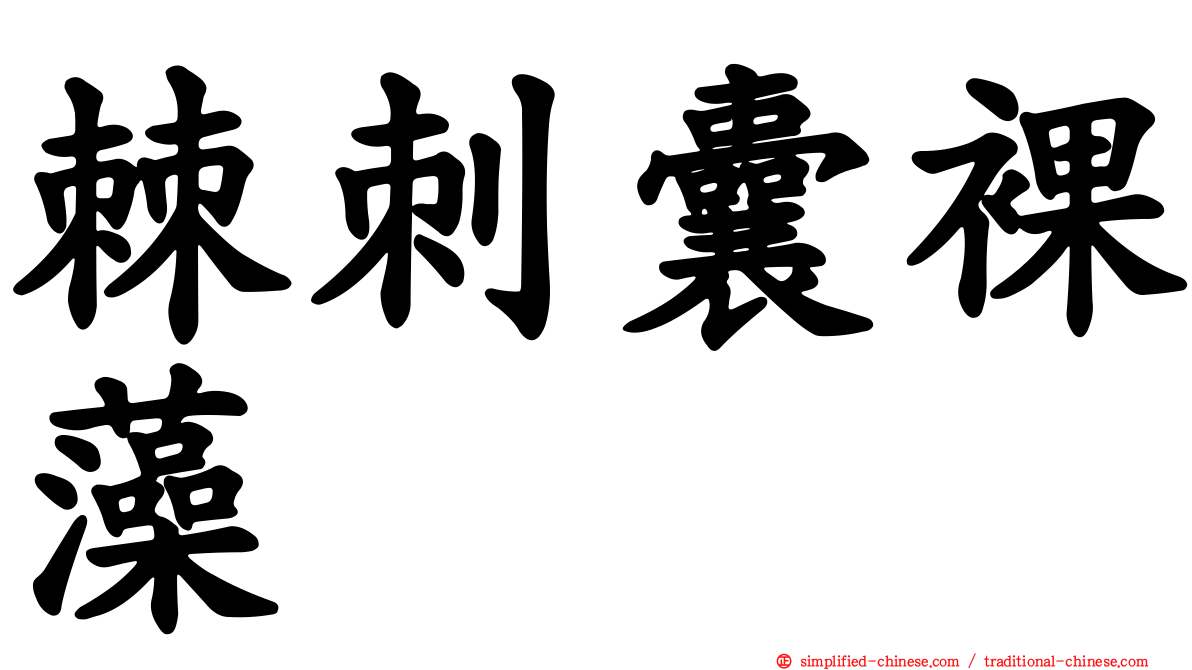 棘刺囊裸藻