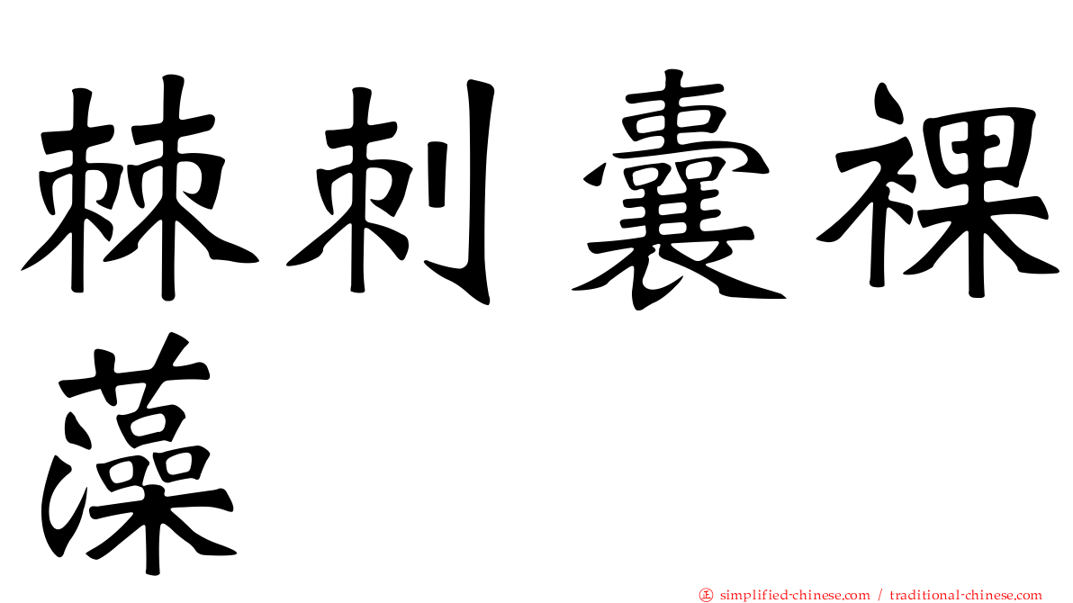 棘刺囊裸藻