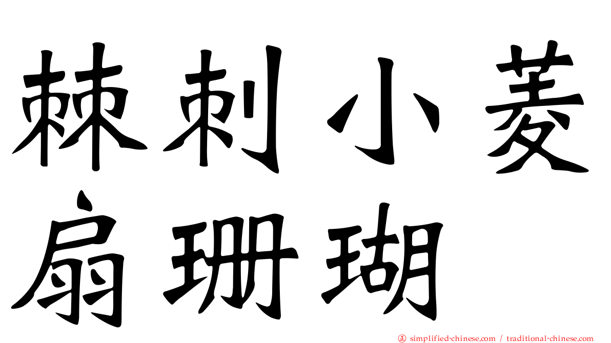 棘刺小菱扇珊瑚