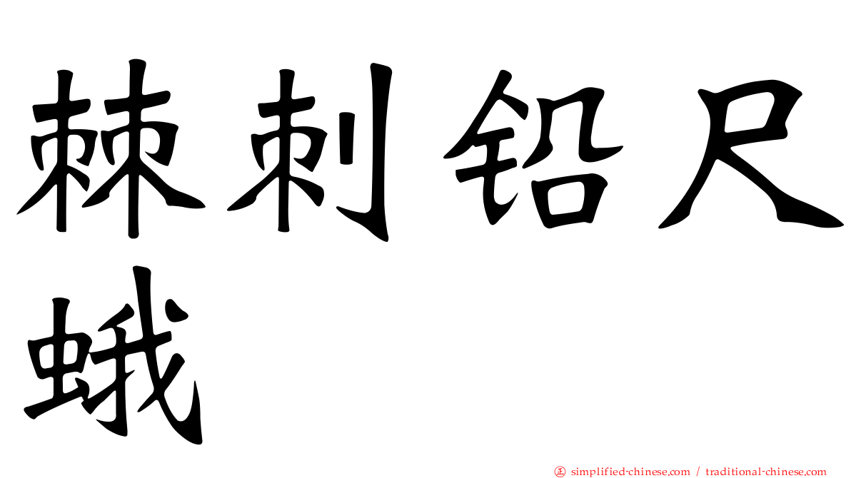 棘刺铅尺蛾