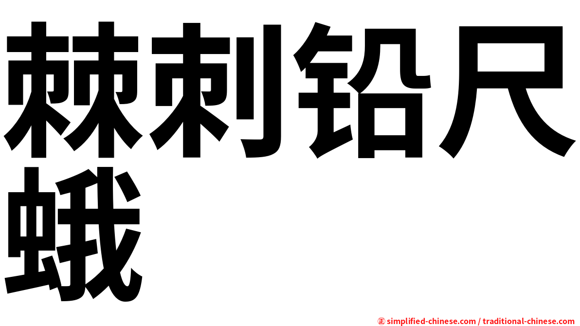 棘刺铅尺蛾