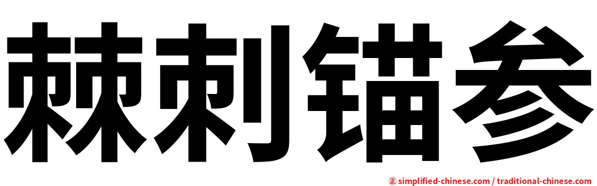 棘刺锚参