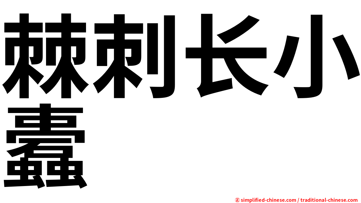 棘刺长小蠹