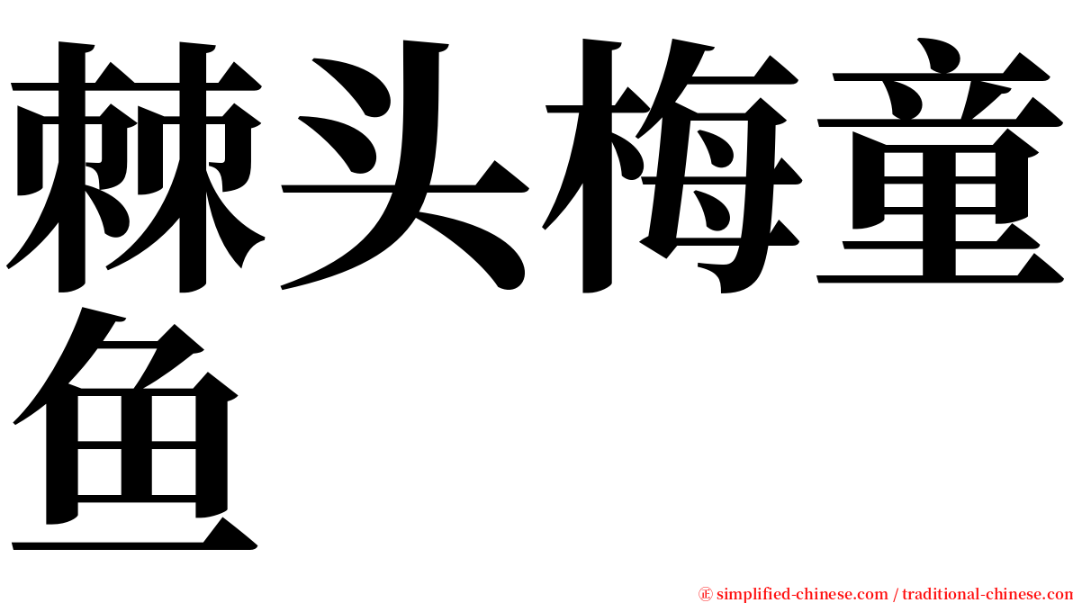 棘头梅童鱼 serif font