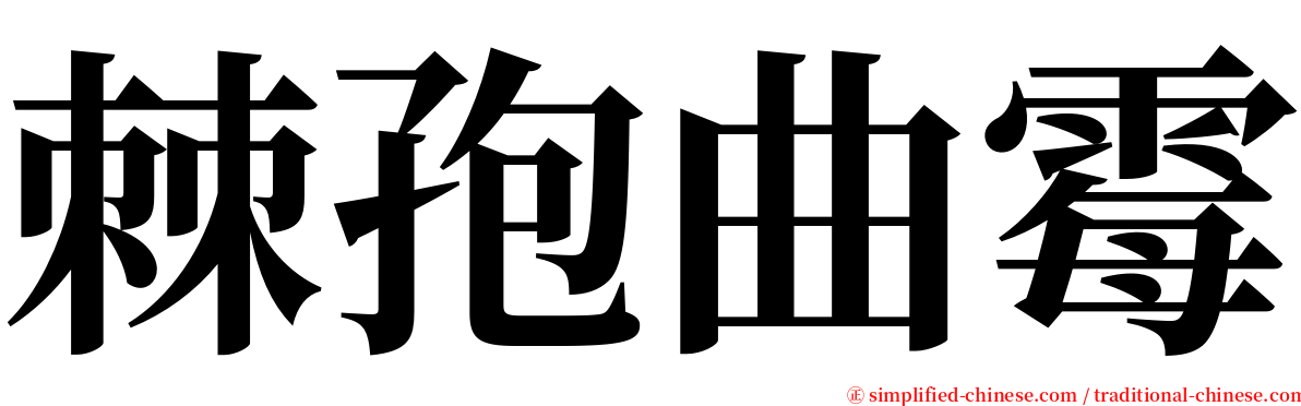 棘孢曲霉 serif font