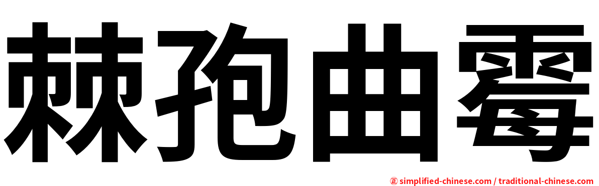 棘孢曲霉