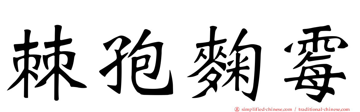 棘孢曲霉