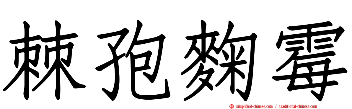 棘孢曲霉