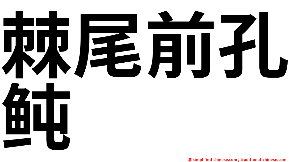 棘尾前孔鲀