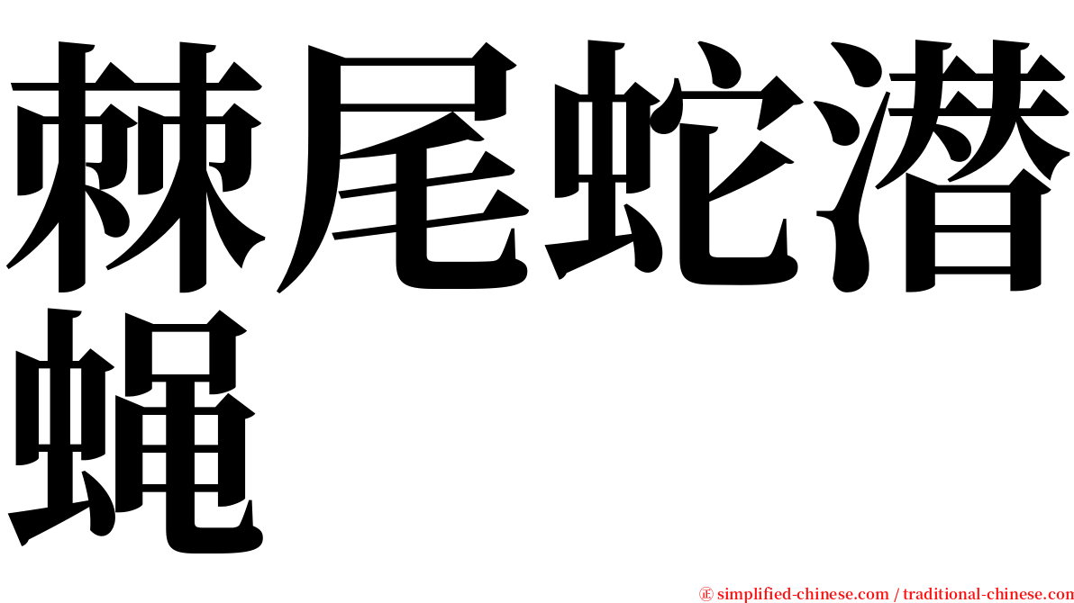 棘尾蛇潜蝇 serif font