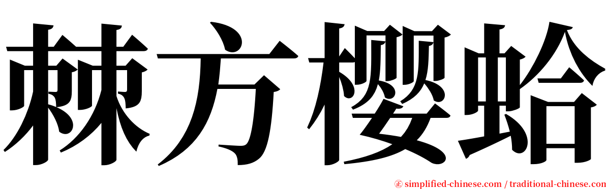 棘方樱蛤 serif font