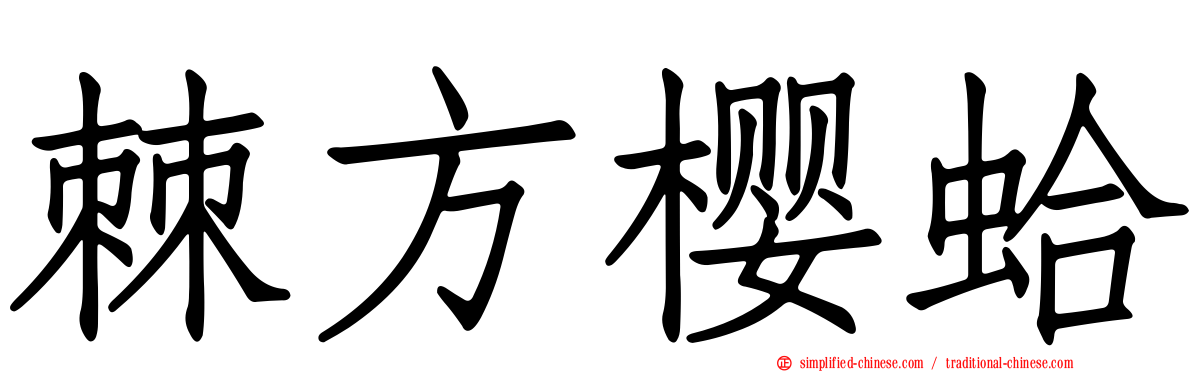 棘方樱蛤