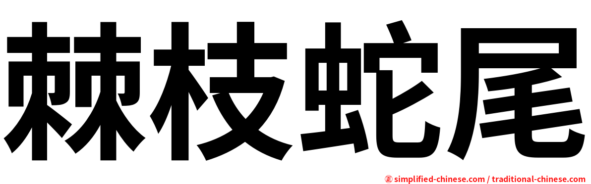 棘枝蛇尾