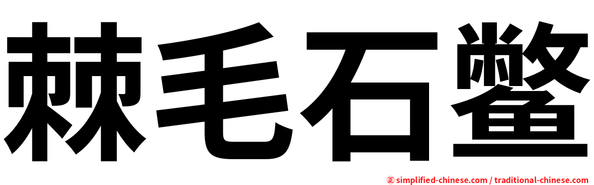 棘毛石鳖
