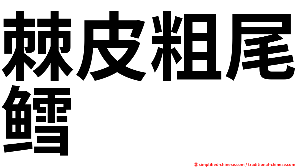棘皮粗尾鳕
