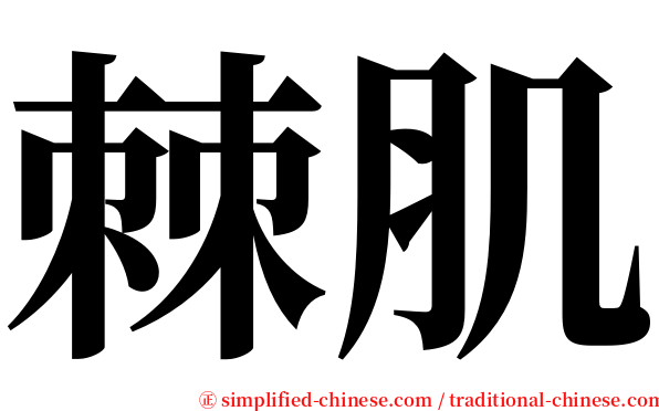棘肌 serif font