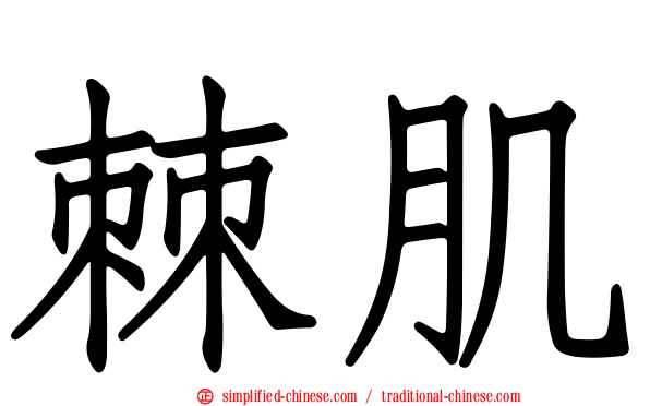 棘肌