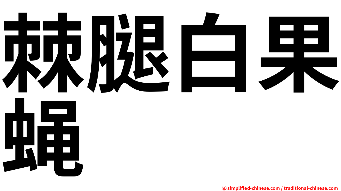 棘腿白果蝇