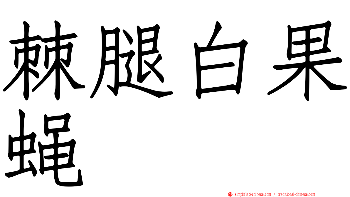 棘腿白果蝇