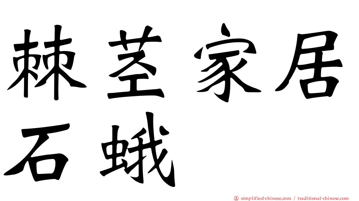 棘茎家居石蛾