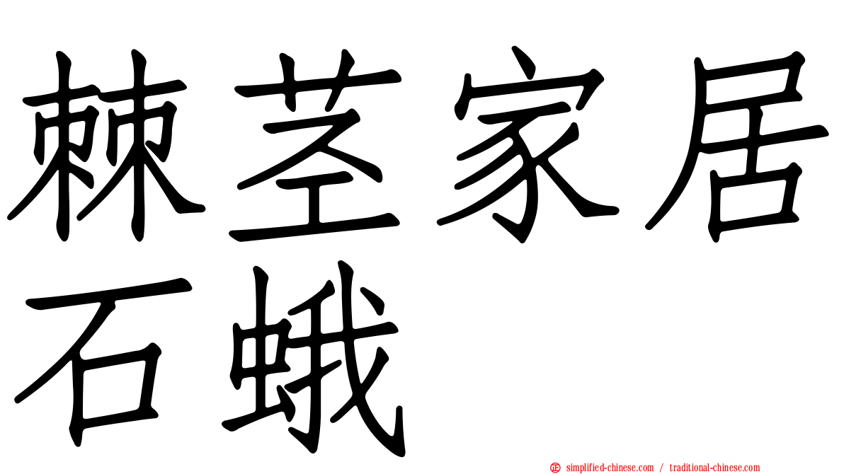 棘茎家居石蛾