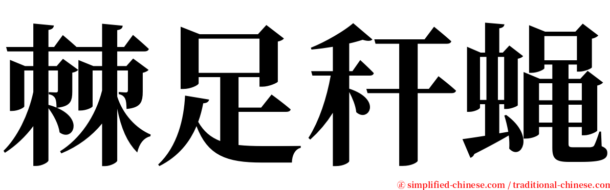 棘足秆蝇 serif font