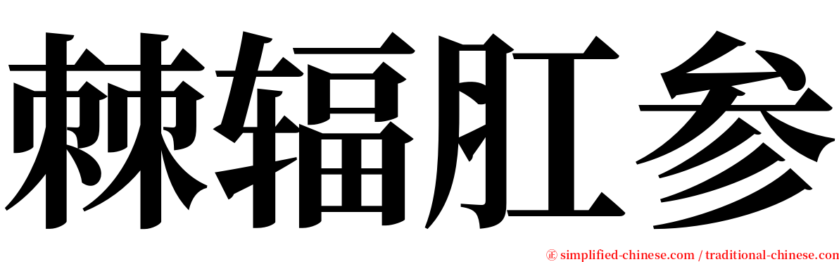 棘辐肛参 serif font