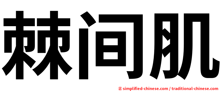 棘间肌