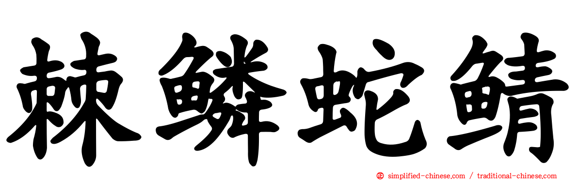棘鳞蛇鲭