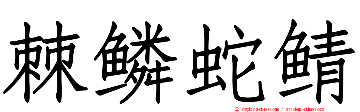 棘鳞蛇鲭