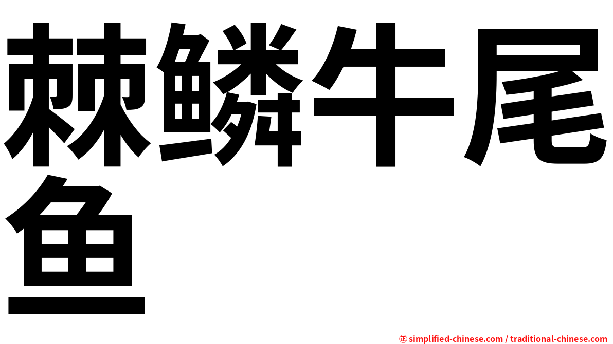 棘鳞牛尾鱼