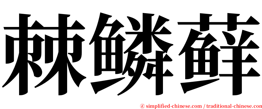棘鳞藓 serif font