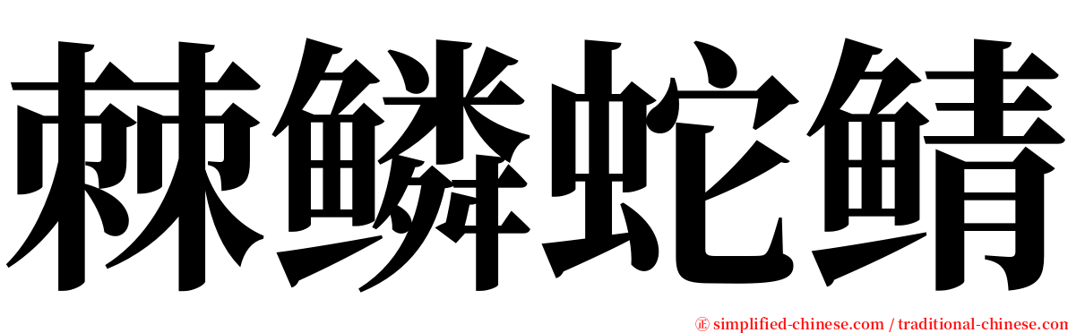 棘鳞蛇鲭 serif font